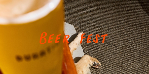 The Chequers - Beer Fest