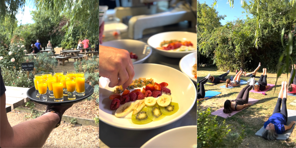 The Weeping Willow - Pilates In The Garden