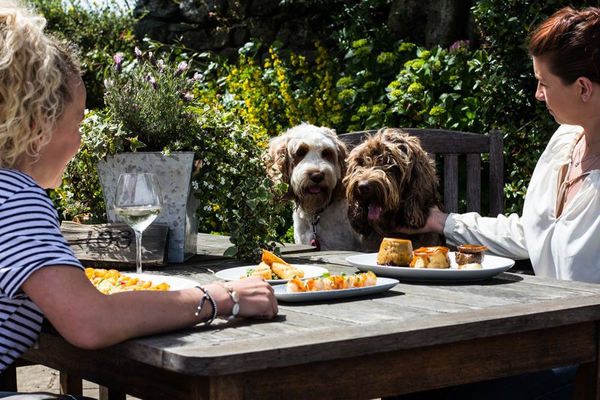 Dog Friendly Stay for Two - 1 Night