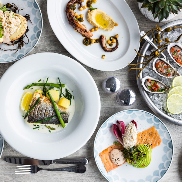 Oyster Box Digital  Gift Card